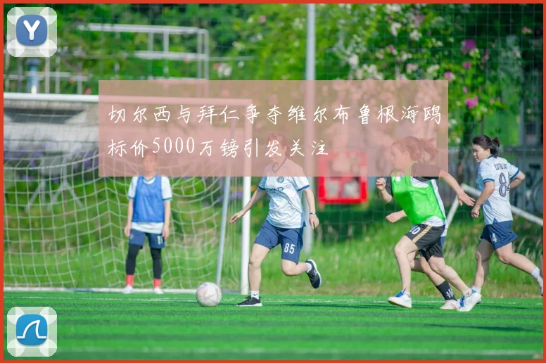 切尔西与拜仁争夺维尔布鲁根海鸥标价5000万镑引发关注